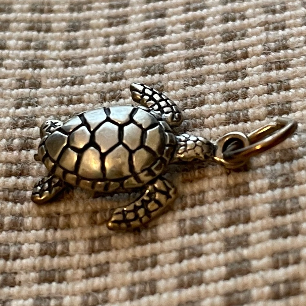 Turtle Charm - Picture 5 of 8